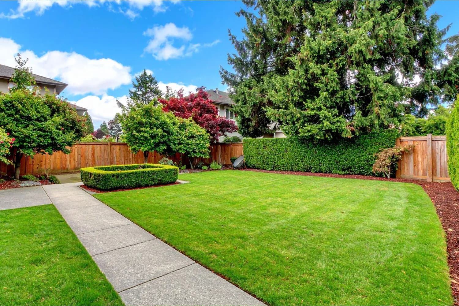 Professionel pleje af græsplæne med udstyr i brug